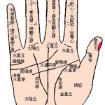4、手掌的三条线正确图解:手掌上的三条线、分别代表什么啊？？！