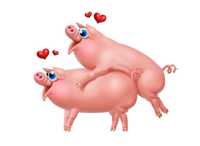 4、属猪人命里带二婚:属猪人的婚姻及命运