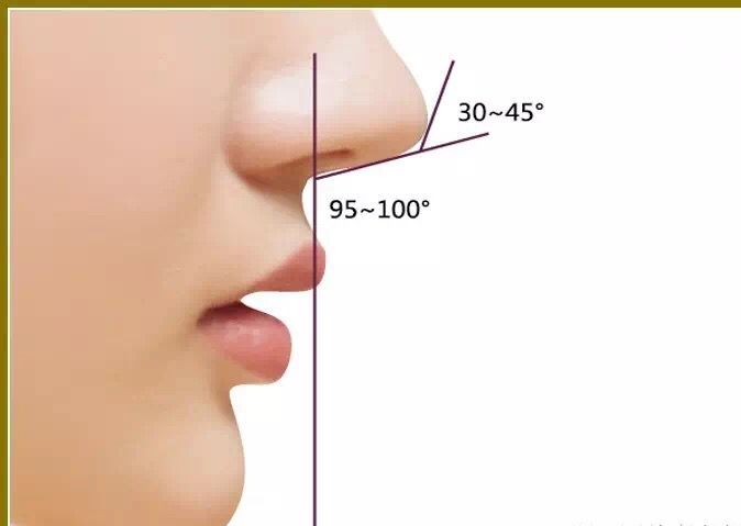 3、在线测鼻型免费:女人什么样的鼻型**看