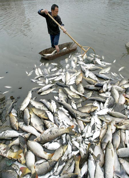 3、一个20亩水库养鱼利润:40亩左右的小型水库养鱼大概需要多少成本？
