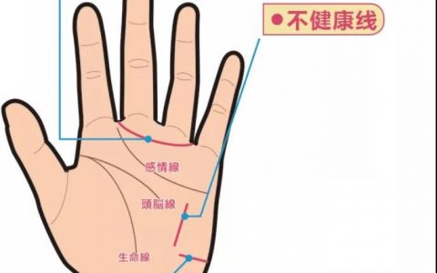 手掌的三条线正确图解，手上的三条线分别代表什么