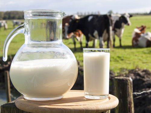 3、坚持一个月喝纯牛奶会有什么变化:喝纯牛奶有什么好处，**是在什么时候喝？