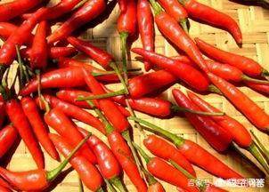 农村自制辣椒酱的配方比例 辣椒酱是一种人们喜欢吃的调料