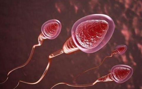 一般精子进入多少天才会怀孕 怀孕也是一个过程