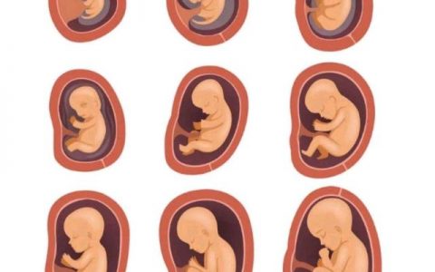 女生怀孕一周最突出的征兆 女生身体出现这些征兆怀孕十有八九