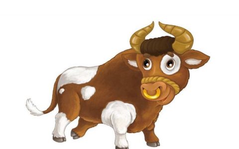 属牛和牛相配婚姻如何，属牛和什么属相相配合适和不合适