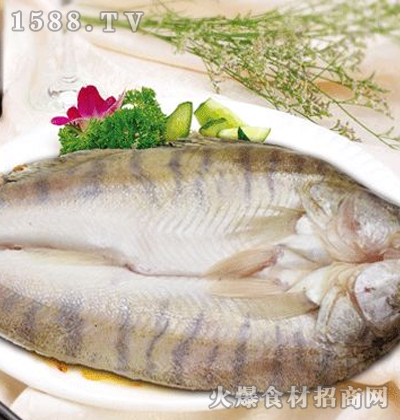 4、一条雪龙鱼多少钱:银龙鱼一般多长呢 可以食用吗 多少钱一条。。。.