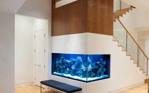 鱼缸放在客厅位置图，鱼缸摆放在客厅什么位置最好？