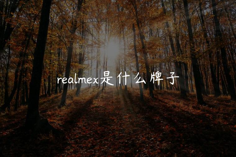 realmex是什么牌子
