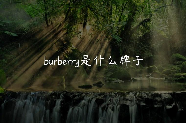 burberry是什么牌子