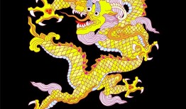 36岁属龙人：财富之路从哪里起航？