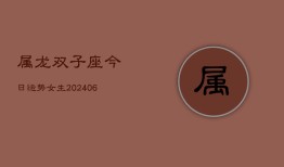 属龙双子座今日运势女生(20240613)