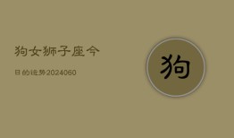 狗女狮子座今日的运势(20240610)