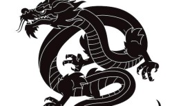 12、24、36、48，属龙人2024年如何转运？