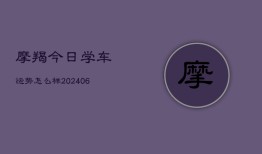 摩羯今日学车运势怎么样(7月20日)