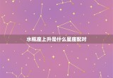 水瓶座上升是什么星座配对，水瓶星座的上升星座是什么星座