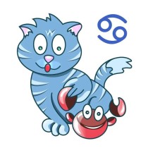 巨蟹座今日运势全解析：感情事业双指南
