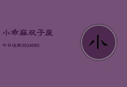 小乖麻双子座今日运势(20240613)