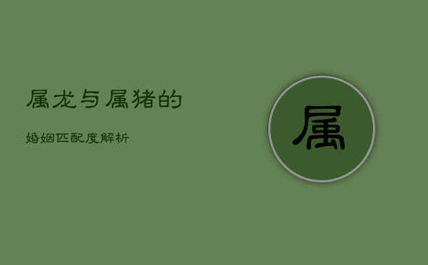 属龙与属猪的婚姻匹配度解析 第1张